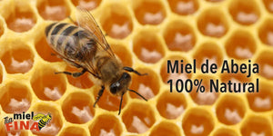 Miel de abeja 100% natural