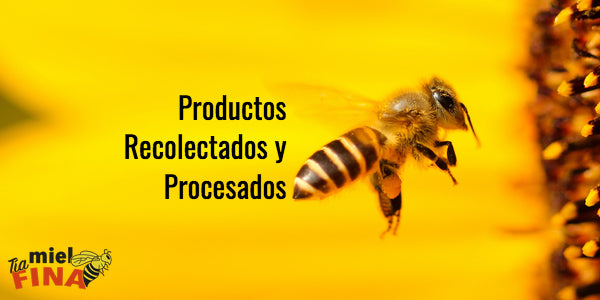 Productos Recolectados y Procesados